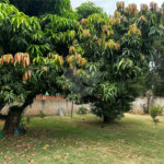 Sobrado à venda com 3 quartos, sendo 2 suítes, em Vila Mazzei, Itapetininga, SP