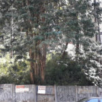 Terreno à venda ou para alugar em Vila Andrade, São Paulo, SP