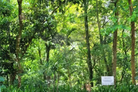 Sobrado à venda com 4 suítes em Jardim Olympia, São Paulo, SP