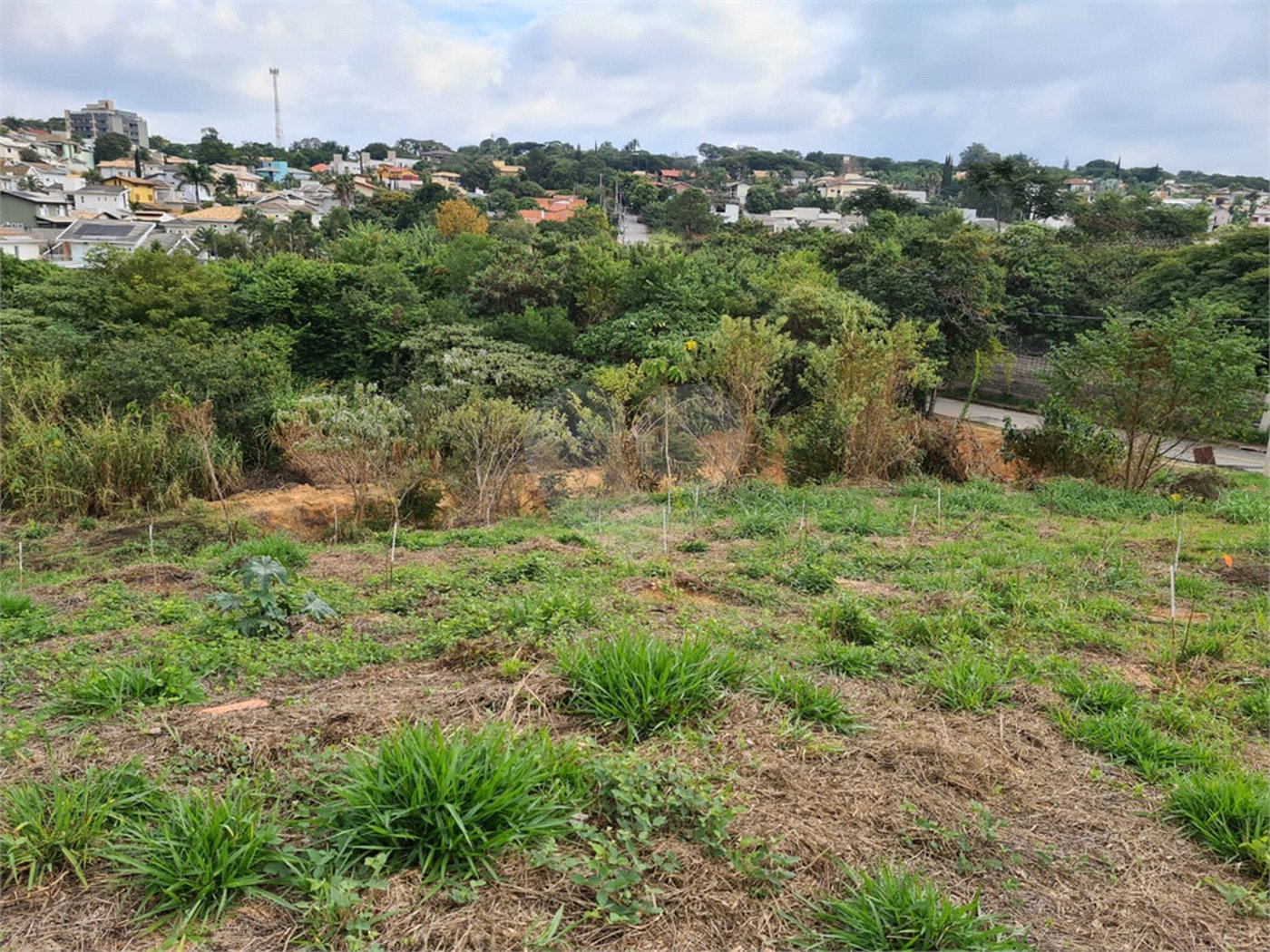 Terreno à venda em Bosque, Vinhedo, SP