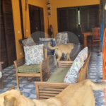 Casa Térrea à venda com 4 quartos, sendo 3 suítes, em Sertão do Piavu, São Sebastião, SP