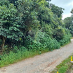 Terreno à venda em Serra da Cantareira, Mairiporã, SP