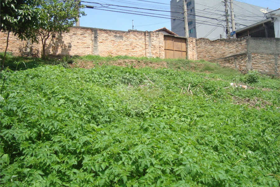 Terreno à venda em Casa Verde, São Paulo, SP