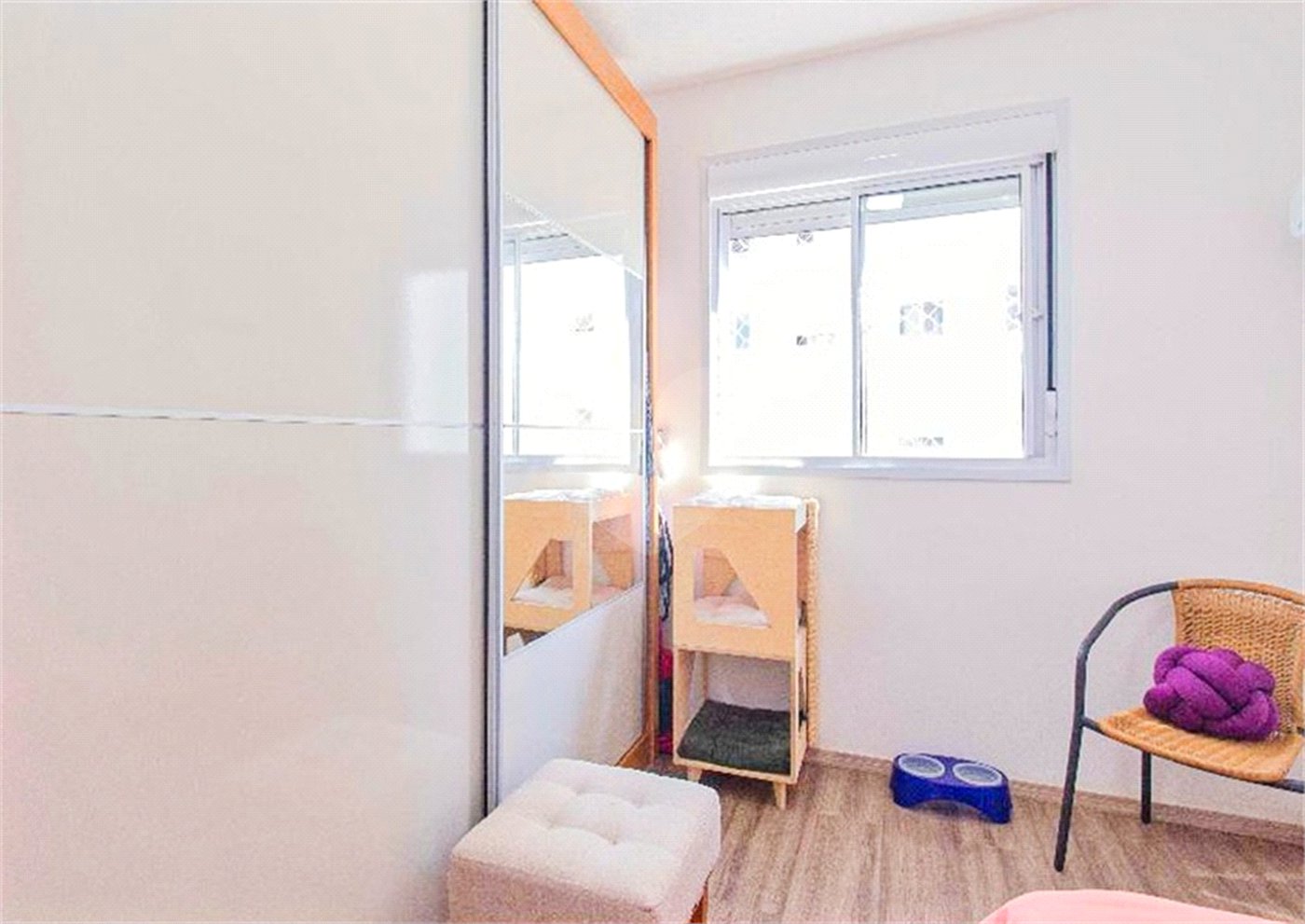 Apartamento à venda com 1 quarto em Cambuci, São Paulo, SP