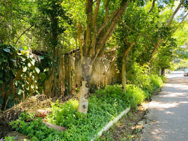 Terreno à venda em Interlagos, São Paulo, SP