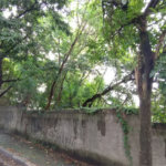 Terreno à venda em Vila Suzana, São Paulo, SP