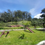 Loteamento à venda em Jardim Peri, São Paulo, SP