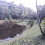 Sítio à venda com 5 quartos, sendo 3 suítes,  em Planalto Verde, São Roque, SP