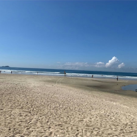 Apartamento Residencial à venda, Vila Alzira, Guarujá - AP1160.