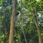 Condomínio à venda em Serra da Cantareira, Mairiporã, SP