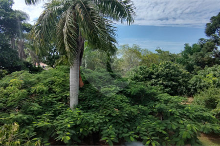Chácara à venda com 3 quartos, sendo 1 suíte, em Chácara Flórida, Itu, SP
