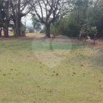 Terreno à venda no condomínio Fazenda Imperial, Sorocaba - SP