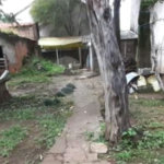 Casa à venda com 3 quartos em Santana, São Paulo, SP