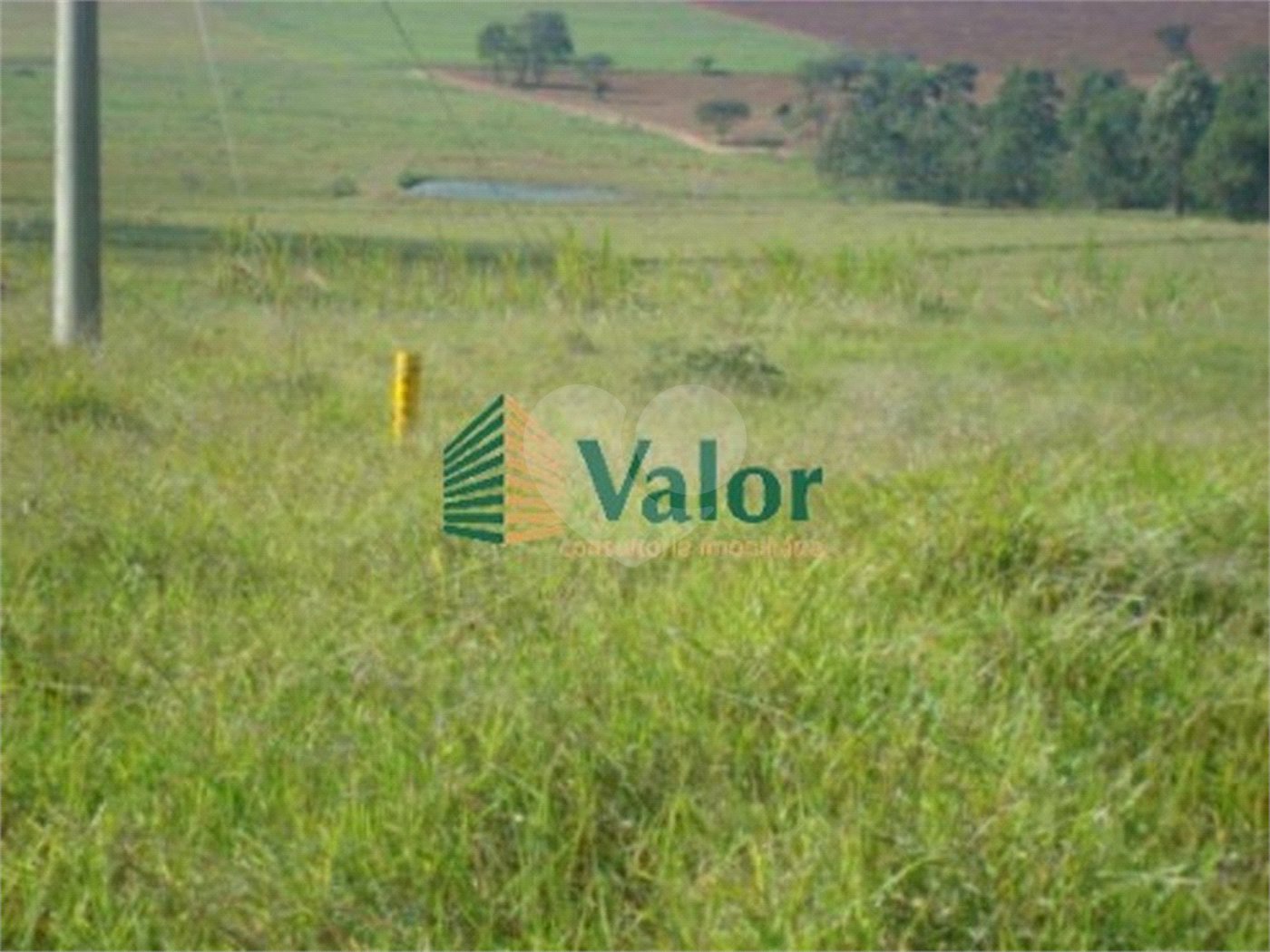 Sitio Rural São Carlos