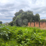 Terreno no Jardim Ricetti São Carlos - SP