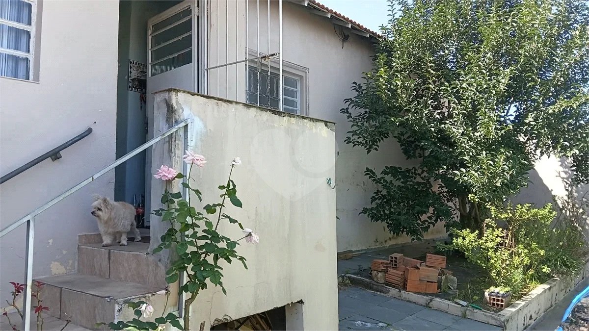 Ótimo Terreno, Jabaquara . 330m² Com construção. Próximo a tudo!!!!