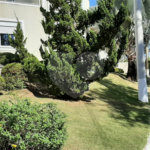 Belíssima casa Alto Padrão - Louveira