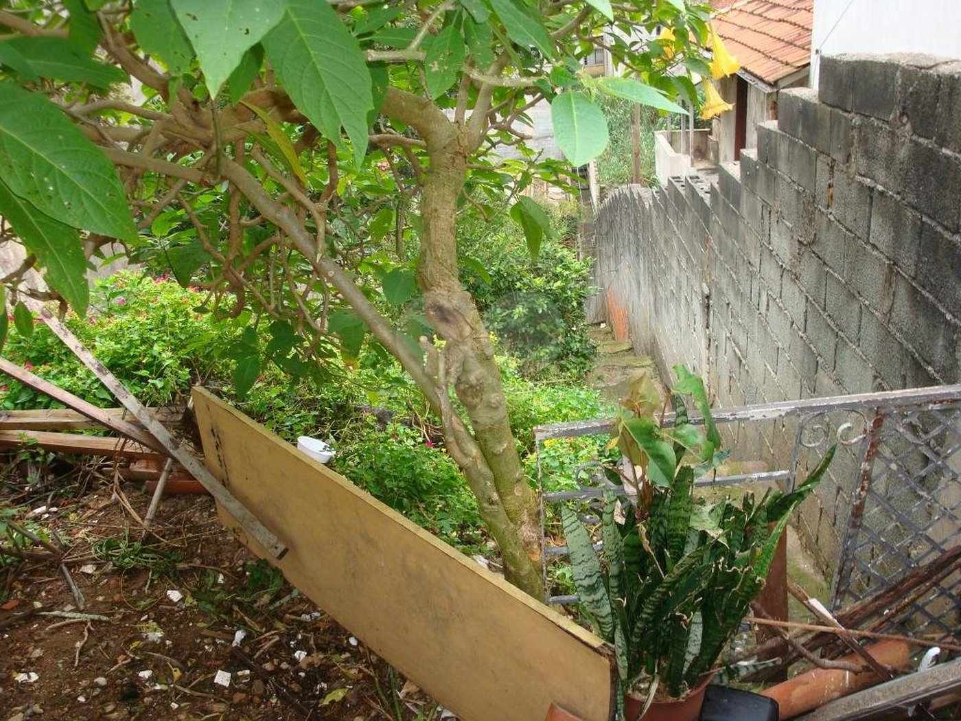 Terreno à venda em Santana, São Paulo, SP