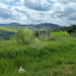 GLEBAS RURAIS EM PIRACAIA A PARTIR 20.000 M², EXCELENTE PARA CHÁCARAS E FAZENDINHAS
