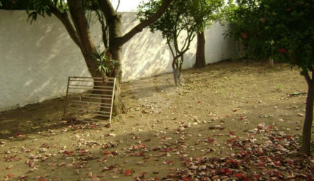 Casa Térrea à venda ou para alugar com 2 quartos em Vila Cruz das Almas, São Paulo, SP