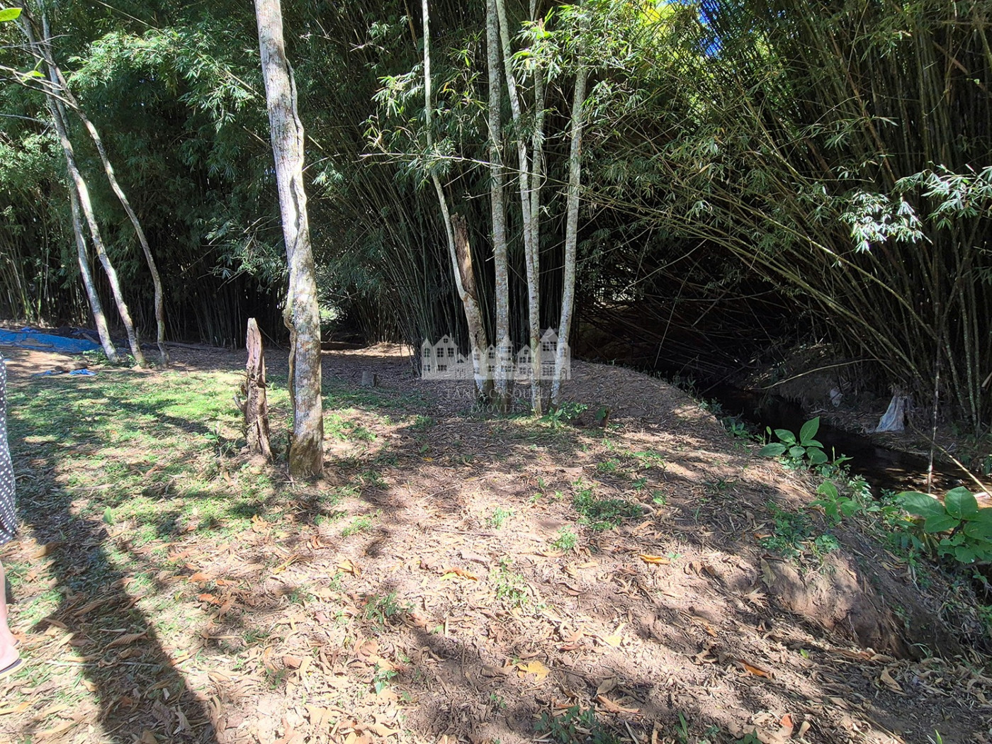 Sítio à venda com 7 alqueires, em Serra do Capetinga, Itapeva - MG
