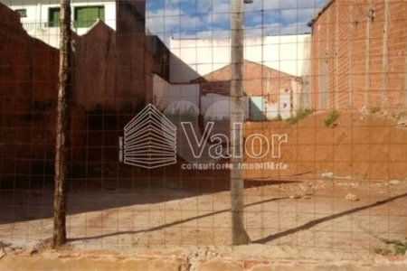 Terreno plano com 253,00 m² de área total.
