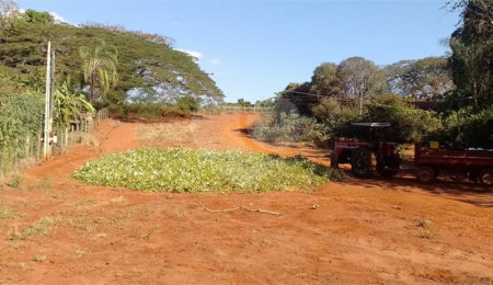Chácara à venda com 2 quartos em Área Rural de São João da Boa Vista, São João da Boa Vista, SP