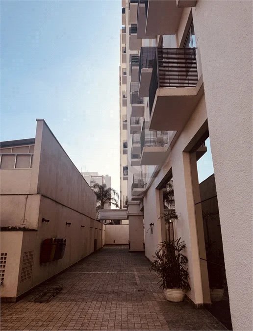 Sala para alugar em Indianópolis, São Paulo, SP
