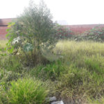 Vendo Terreno no Parque Industrial com fácil acesso a UFSCAR e USP Campus I