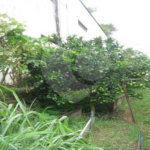 Casa á venda - Jabaquara