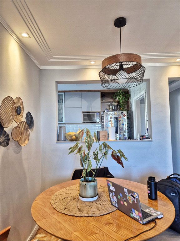 Apartamento à venda com 3 quartos, sendo 1 suíte, em Vila Nova Cachoeirinha, São Paulo, SP