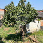 Terreno à venda em Cidade Vargas, São Paulo, SP