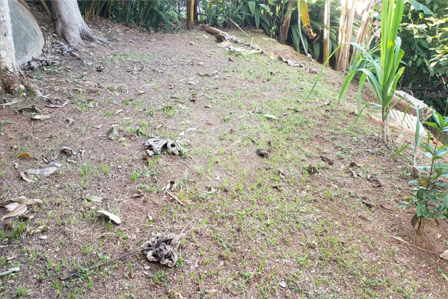 Sobrado à venda com 3 quartos, sendo 1 suíte, em Horto, São Paulo, SP