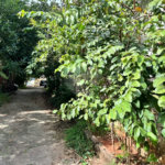 Terreno à venda em Casa Verde, São Paulo, SP