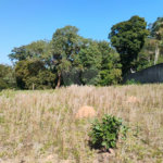 Terreno à venda em Loteamento Vale Azul I, Jundiaí, SP