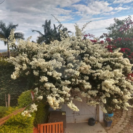 Chácara à venda com 5 quartos, sendo 1 suíte, em Vitória Régia, Atibaia, SP