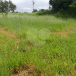Terreno à venda ou para alugar em Cruz das Almas, Itu, SP