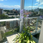 Apartamento à venda ou para alugar com 2 suítes em Itacorubi, Florianópolis, SC