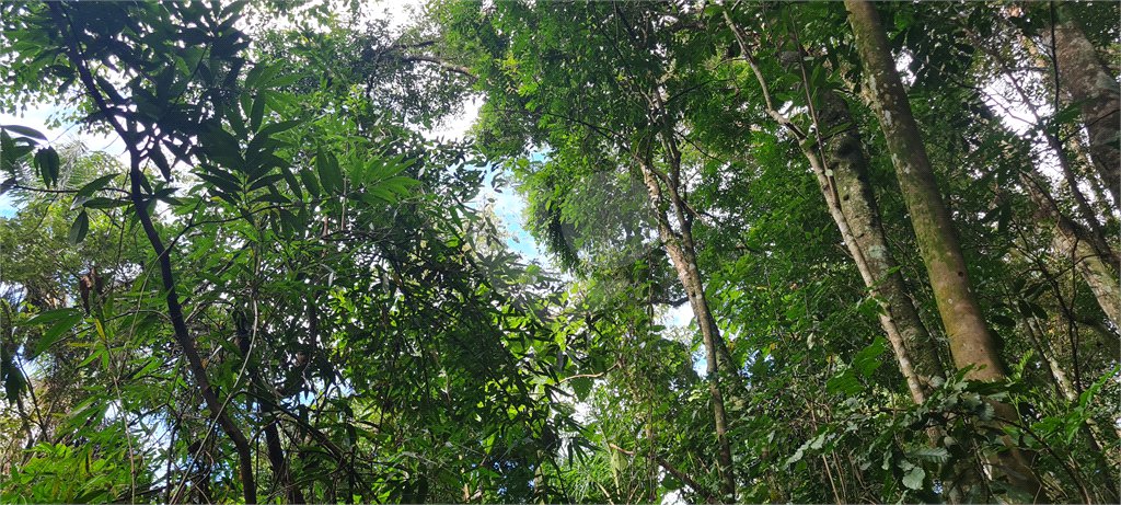 Terreno à venda em Caraguatá, Mairiporã, SP