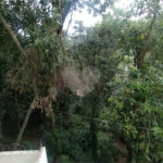 Casa de Vila para alugar com 3 quartos, sendo 1 suíte, em Serra da Cantareira, São Paulo, SP