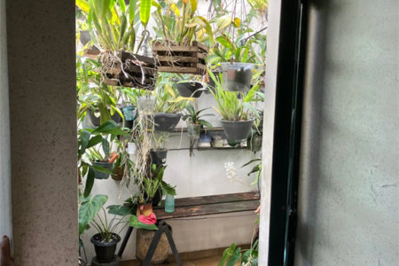 Casa à venda com 5 quartos, sendo 2 suítes,  em Vila Maria Alta, São Paulo, SP