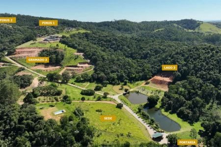 Fazenda Elisa - Fase 3