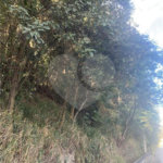 Terreno à venda em Serra da Cantareira, Mairiporã, SP