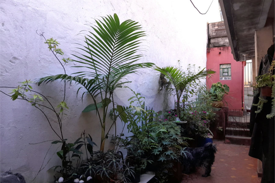 Casa à venda com 4 quartos em Vila Ipojuca, São Paulo, SP