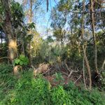 Terreno à venda no condomínio Sausalito, Mairiporã - SP