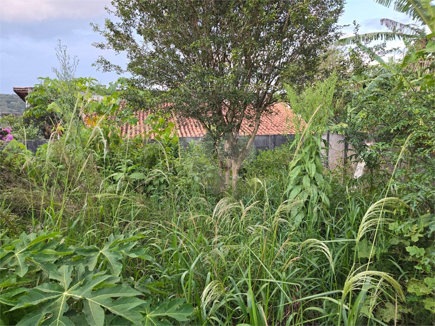 Casa à venda com 2 quartos, sendo 1 suíte, em Ressaca, Atibaia, SP