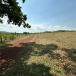Fazenda à venda em Zona Rural, Balsas, MA