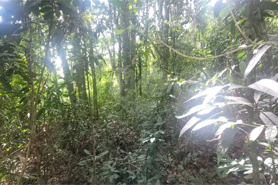 Terreno à venda em Mantiqueira, Mairiporã, SP