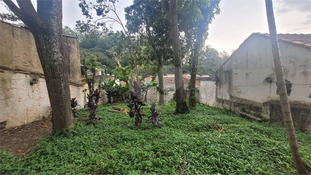 Casa Térrea à venda com 2 quartos em Horto Florestal, São Paulo, SP