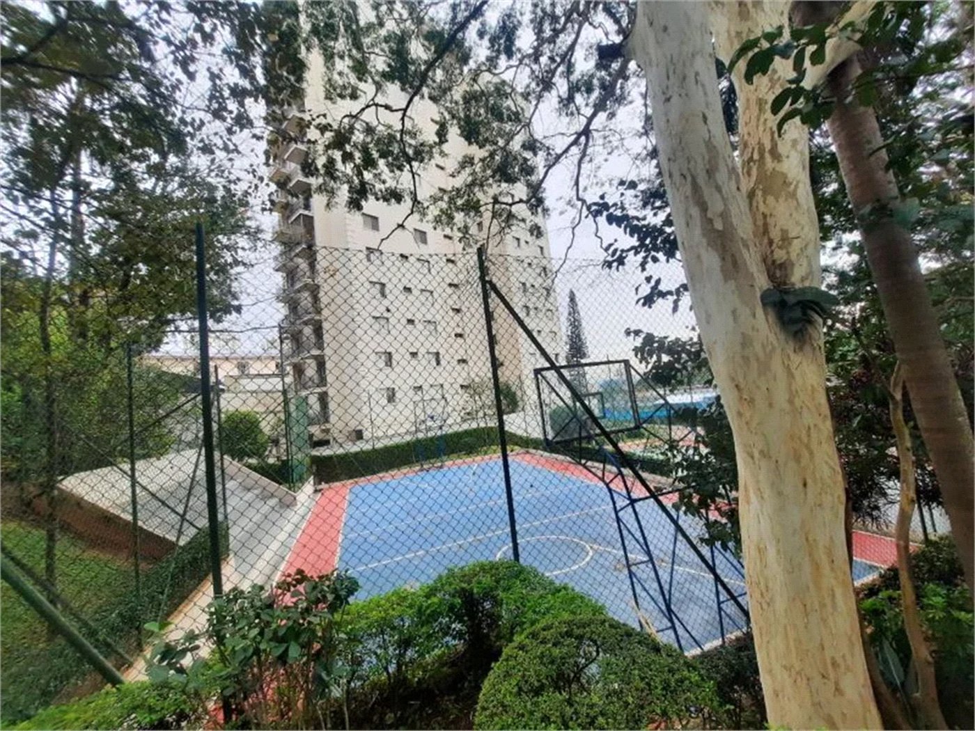 Apartamento à venda com 3 quartos em Jardim Esmeralda, São Paulo, SP